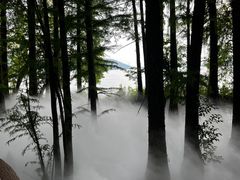 -东湖落雁景区