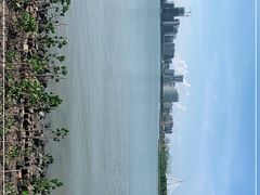 -万绿园