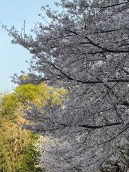 -弗蕾亚·和月月子调理院(东湖店)