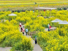 -中国天府农业博览园