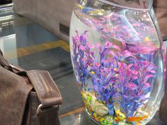 赛特奥特莱斯&nbsp;006-COACH蔻驰(赛特奥特莱斯店)