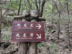 -少华山国家森林公园