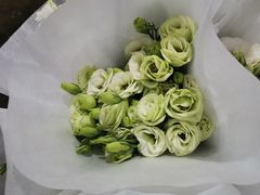 -循礼门鲜花花市(武汉循礼门店)