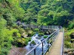 -龙苍沟森林公园