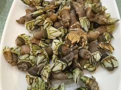 -舌尖上·霞浦滩涂海鲜·新闽菜(总店)