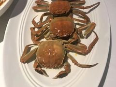 艾香大闸蟹-眉州东坡(通州店)