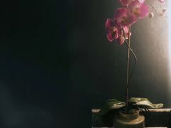 -芭东小镇温泉