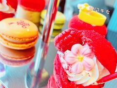 -东方美谷JW万豪酒店·The lounge大堂吧