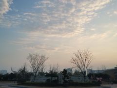 -九龙湖公园
