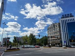 -西树泡芙(秦皇岛茂业天地店)