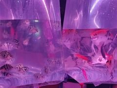 -华声天桥民俗文化园
