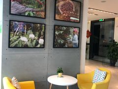 -同步齿科·数字化正畸种植口腔中心(珠海店)