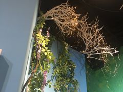 -上海外滩星空失恋减压馆(外滩旗舰馆)