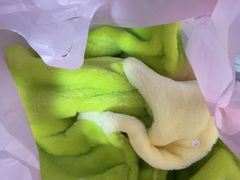 -大型宠物商超·宠海王国·宠物猫狗活体·用品·美容(新世界百货重庆店)