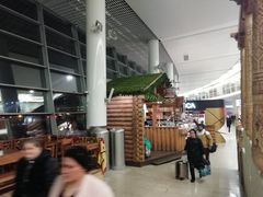 -谢列梅捷沃国际机场