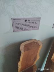 -文旺阁亲子手工DIY木作博物馆