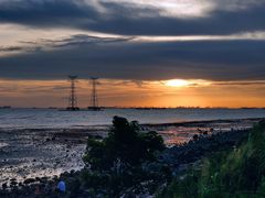 -宝安西湾红树林湿地公园