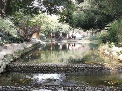 -成都市活水公园