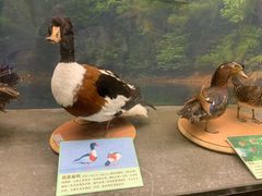 -下渚湖国家湿地公园科普馆