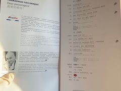 -谢列梅捷沃国际机场