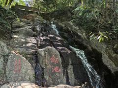 -莫干山风景区