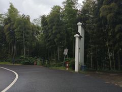 -山沟沟景区