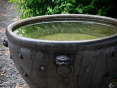 -苏州文旅姑苏小院·端善堂