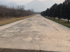 -秦始皇帝陵博物院-丽山园