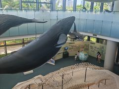 -中国（海南）南海博物馆
