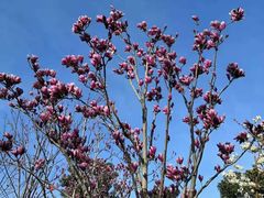 -中共上海市委党校 上海行政学院