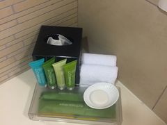 -新加坡柏薇罗切斯特酒店
