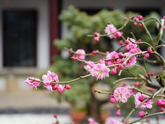 -寒山寺