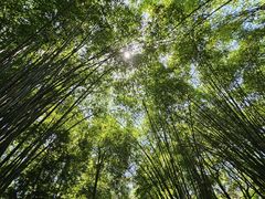 -成都杜甫草堂博物馆