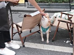 -帕蓝·暹罗料理(大学路店)