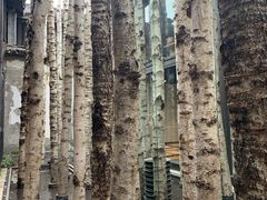 -Metal hands·铁手咖啡