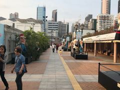 -九龙公园