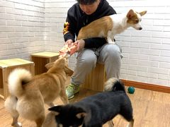 -喵屋coffee