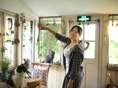 -海边的猫和咖啡馆