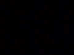 -泰州凤城河风景区-泰山公园