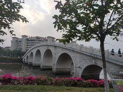 -万绿园