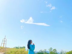 -白鹭湾湿地公园