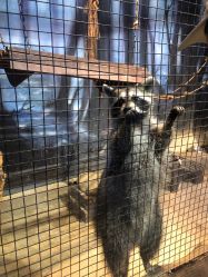 -酷嗒动物文化乐园(cutezoo西溪乐天城店)