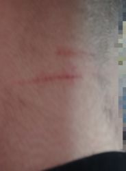 -华卫思理轻奢造型