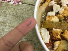 -清真李唯一优质肉丸糊辣汤
