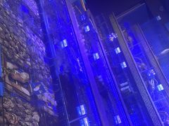 -青蓬蒸汽海鲜·深圳老字号·团建聚会(壹方城店)