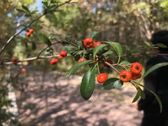 景点-淇河国家湿地公园