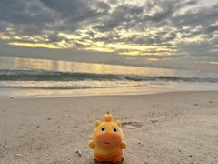 -西涌国际滨海旅游区