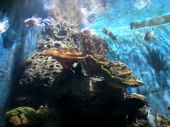 -多彩贵州城极地海洋世界