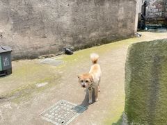 -东钱湖旅游度假区