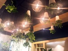 -柴务处·柴犬主题狗咖